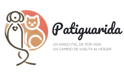 Patiguarida